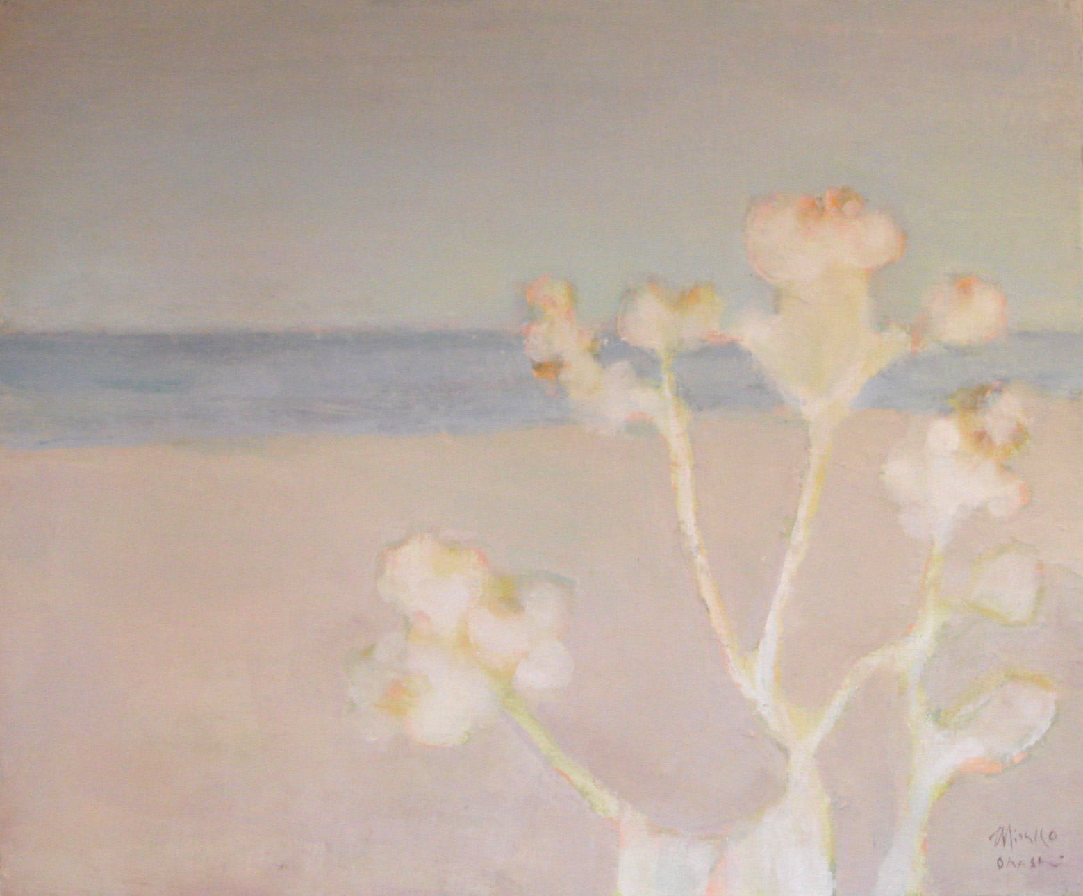 A viewpoint op flowers