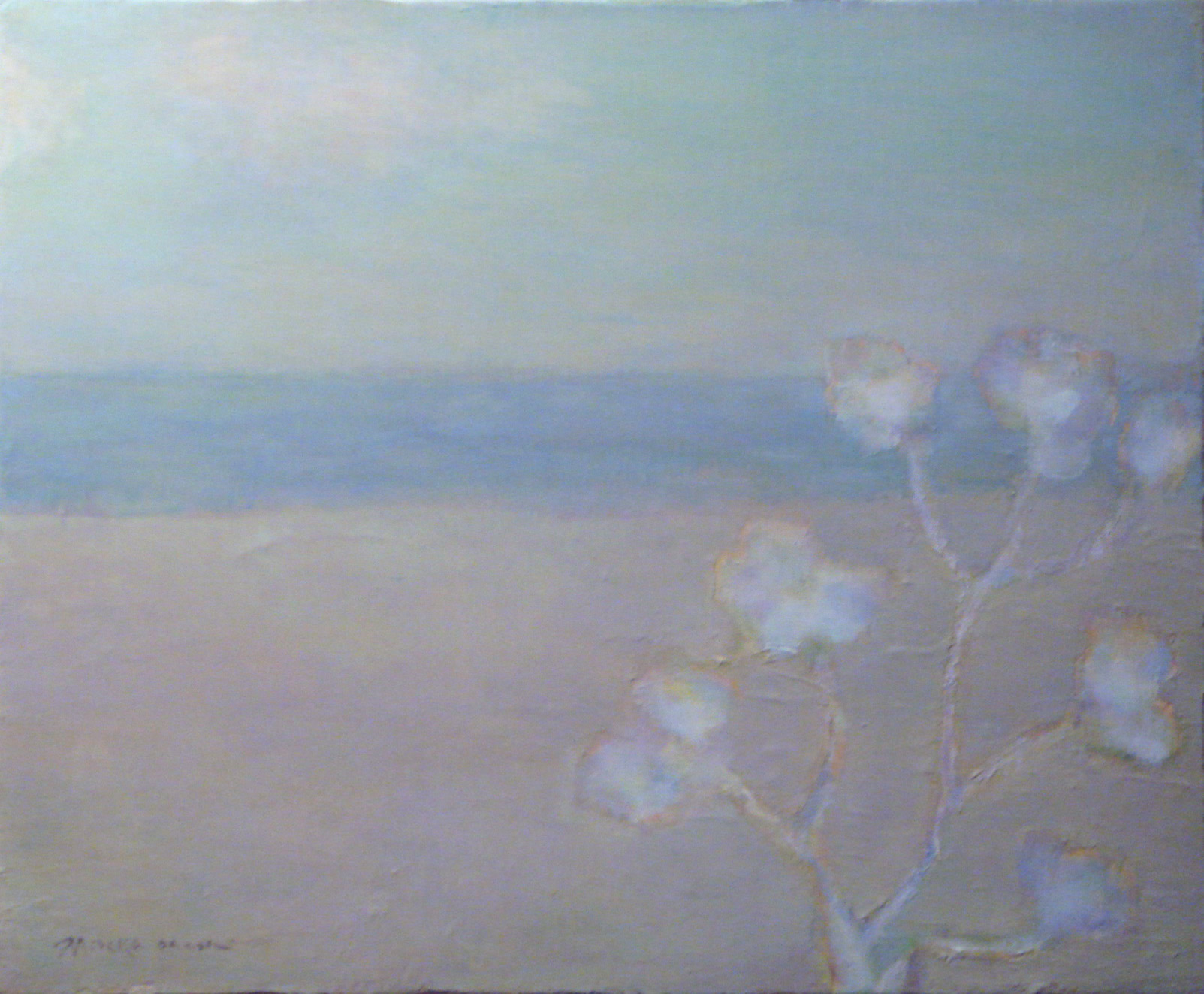 A viewpoint op flowers